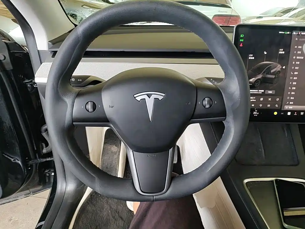 Tesla Model Y — миниатюра 11