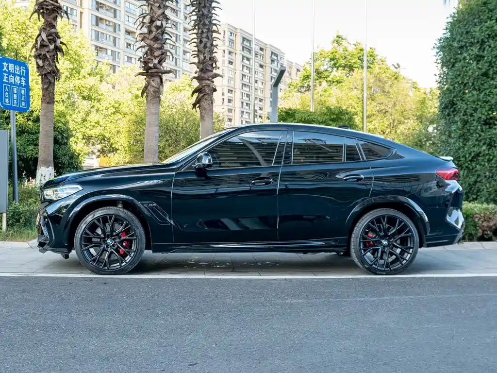 BMW X6 M — миниатюра 3