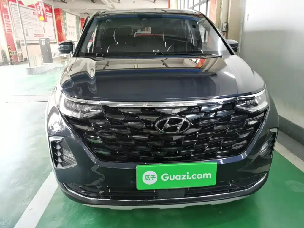 Hyundai Custo — миниатюра 3