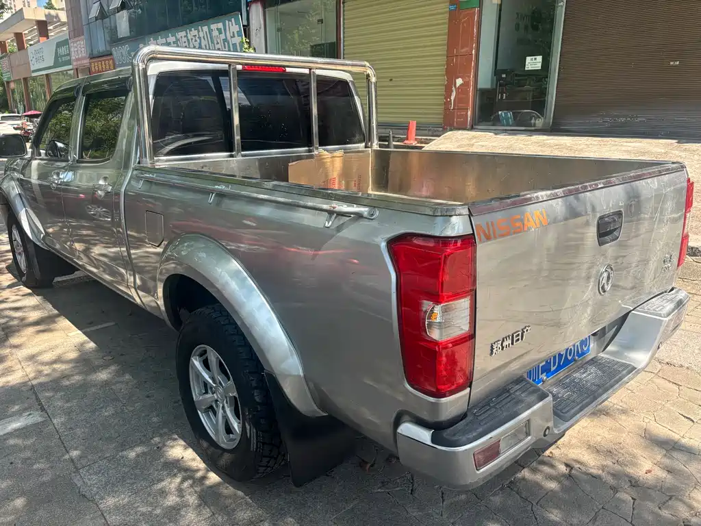 Dongfeng Rich — миниатюра 6