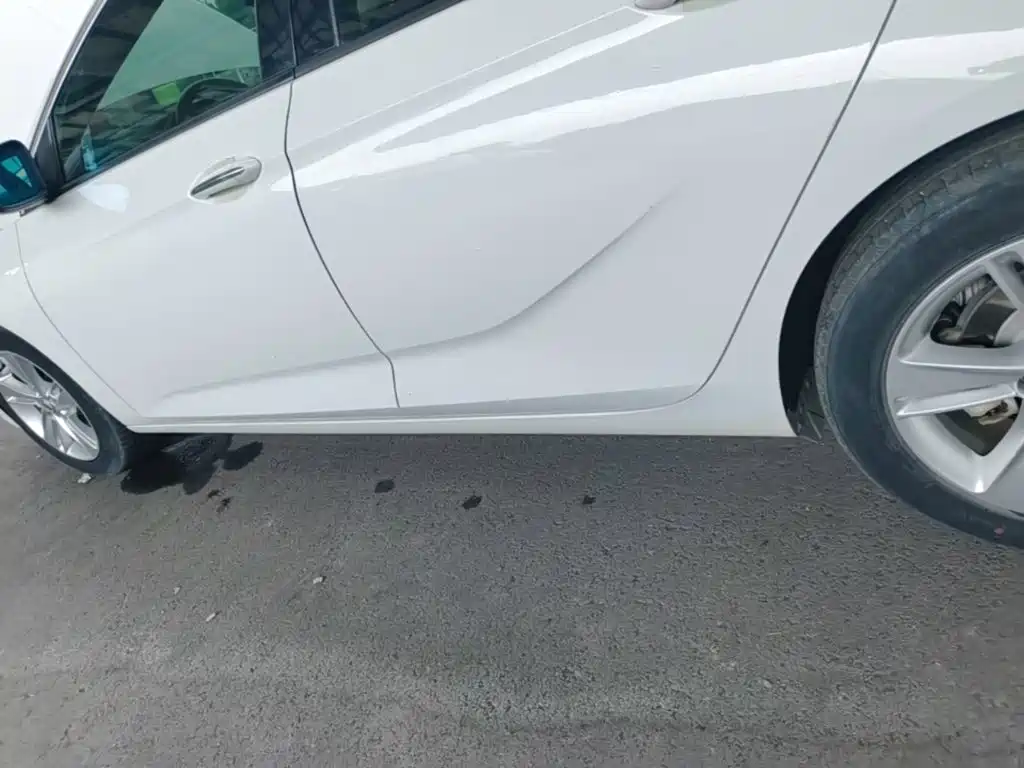 Buick Regal — миниатюра 22