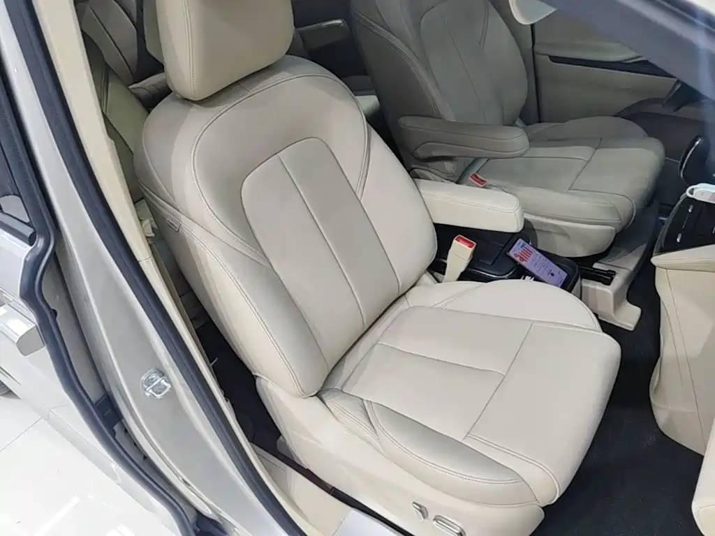 Buick GL8 — миниатюра 25