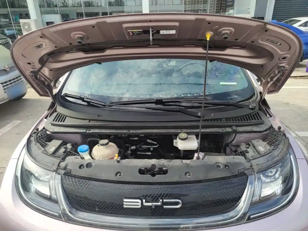BYD Dolphin — миниатюра 20
