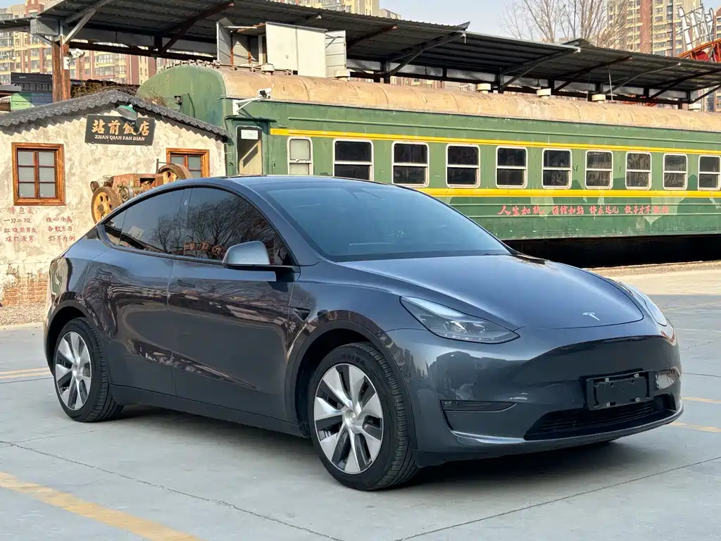 Tesla Model Y — миниатюра 3