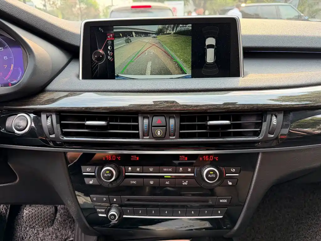 BMW X5 (Import) — миниатюра 10