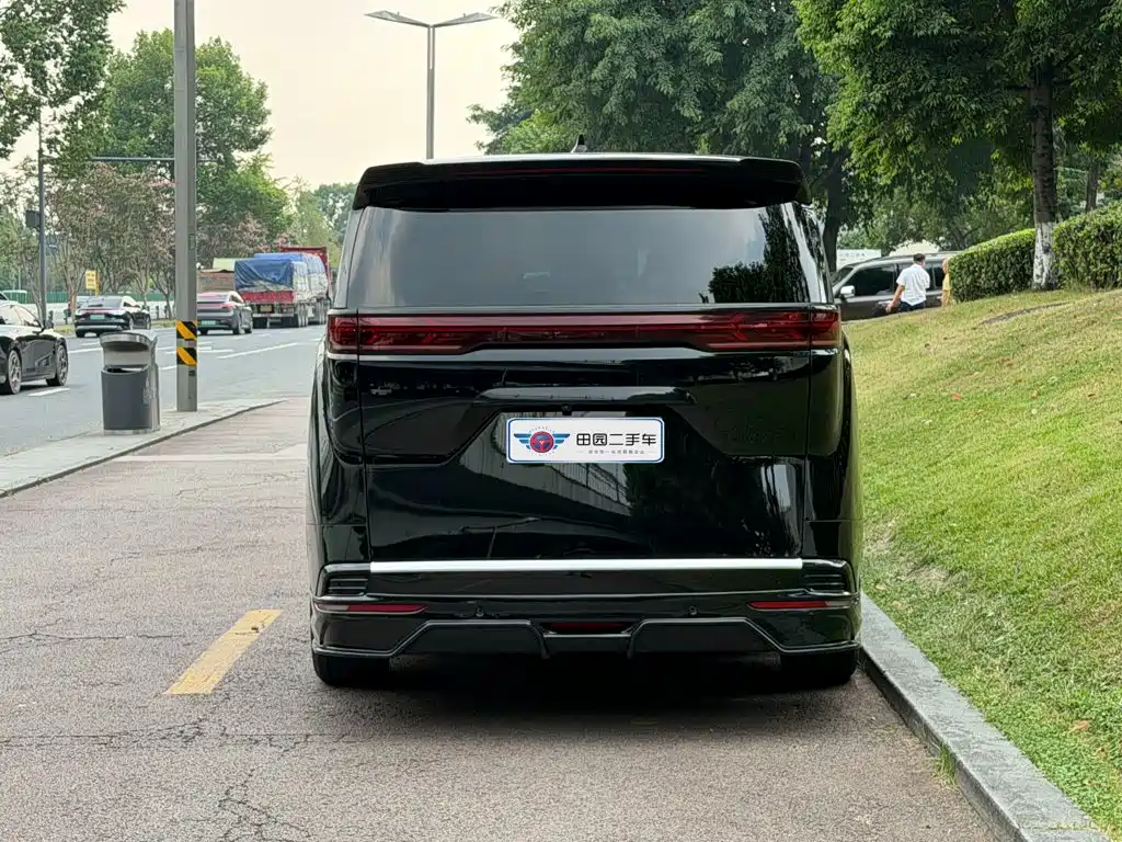 Denza Denza D9 — миниатюра 5