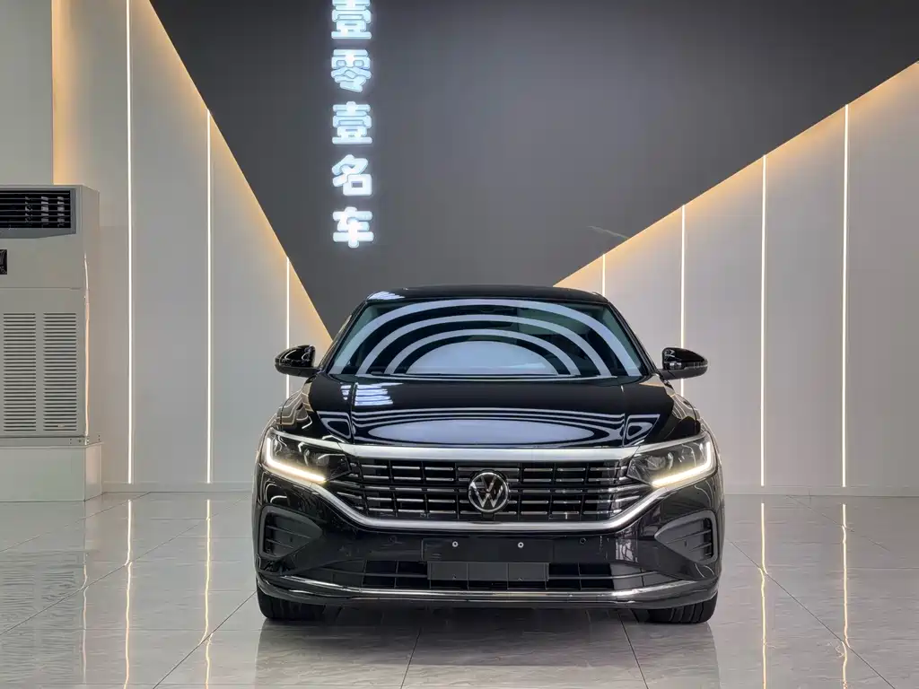 Volkswagen Passat — миниатюра 2