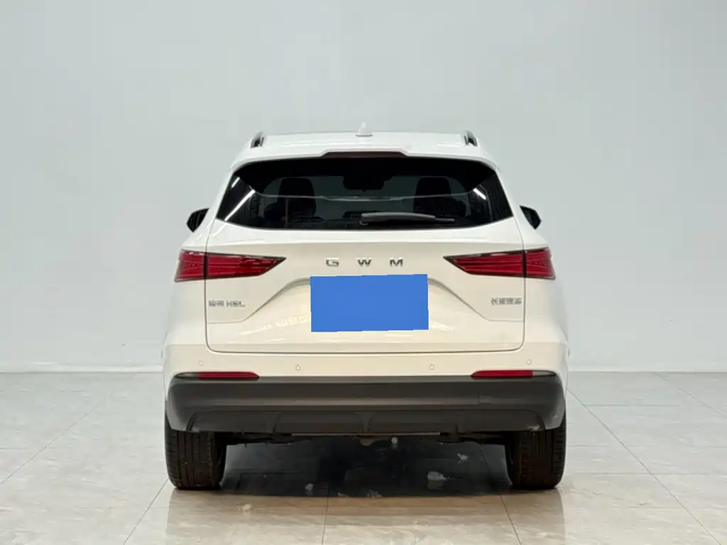 Haval 哈弗H6L — миниатюра 4