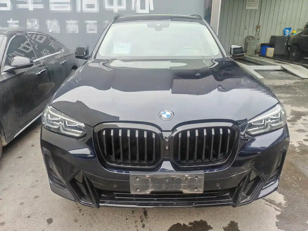 BMW X3 — миниатюра 2