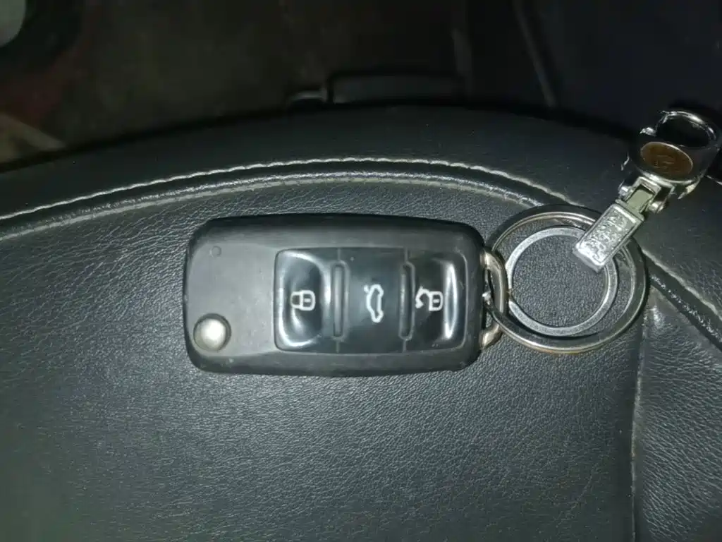 Volkswagen Gran Lavida — миниатюра 9
