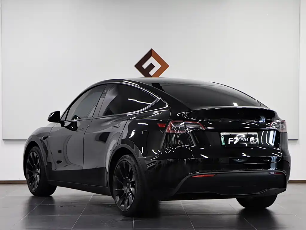 Tesla Model Y — миниатюра 4