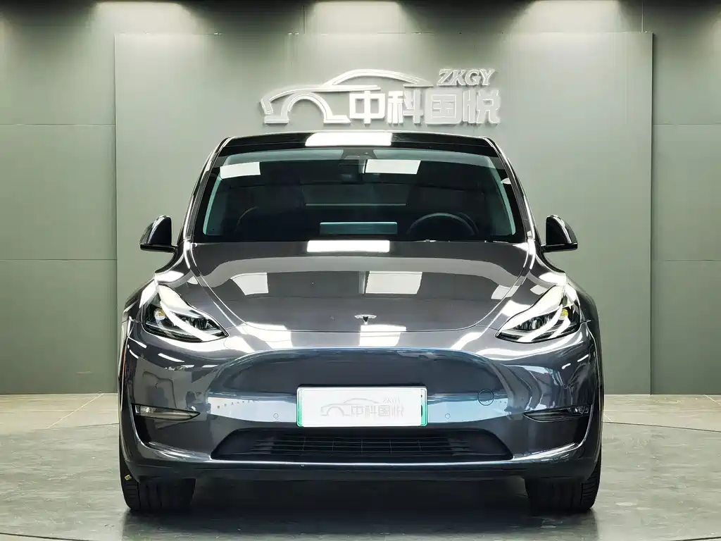 Tesla Model Y — миниатюра 4
