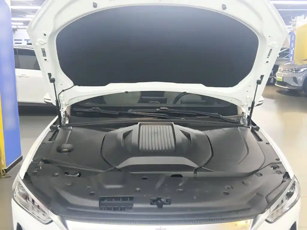 BYD Qin PLUS — миниатюра 20