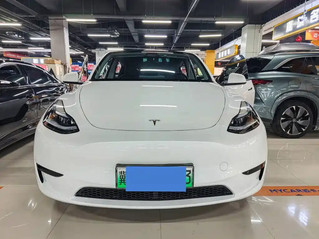 Tesla Model Y — миниатюра 11