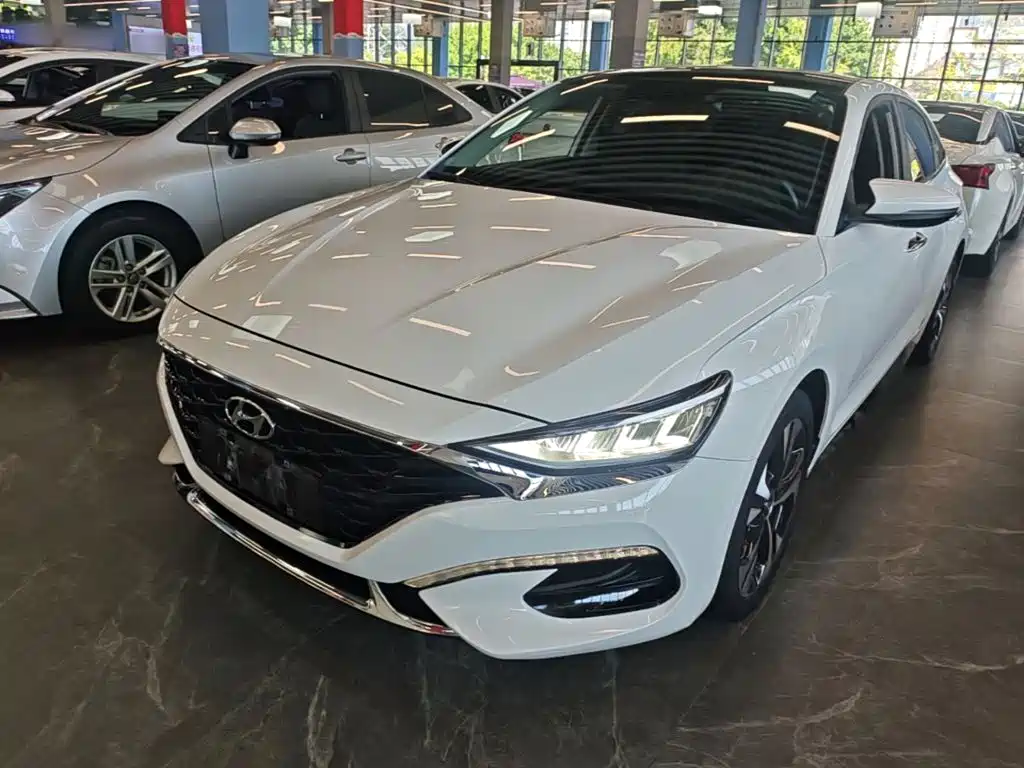 Hyundai Fista — миниатюра 2