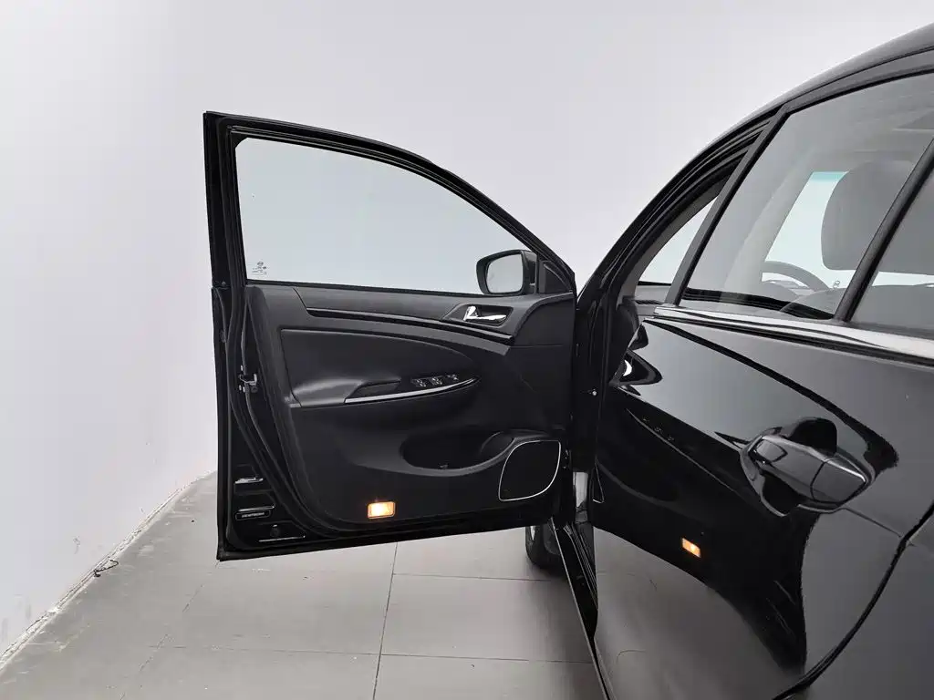 BYD Surui — миниатюра 8