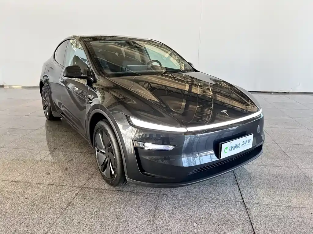 Tesla Model Y — миниатюра 6