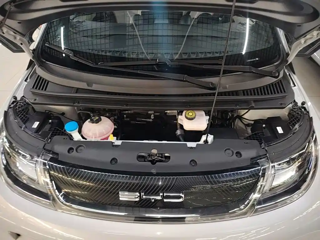 BYD Dolphin — миниатюра 20
