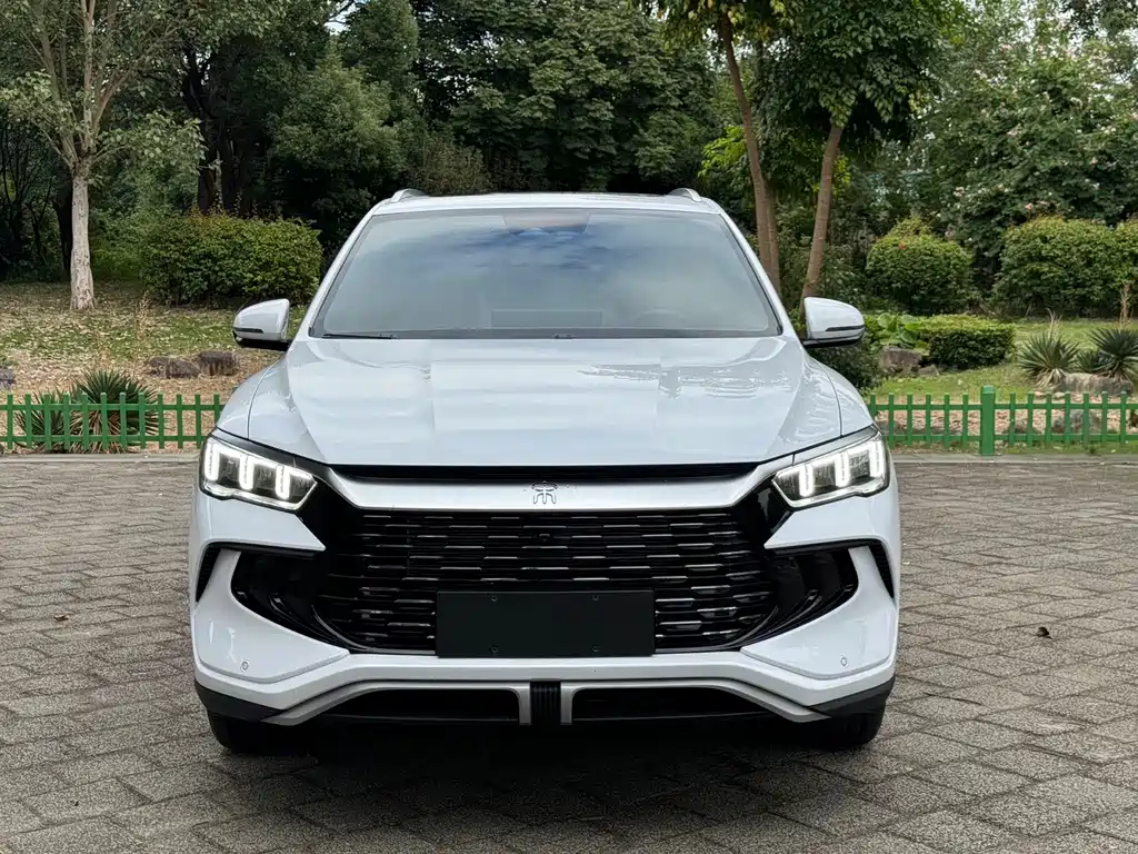 BYD Pro New Energy — миниатюра 2