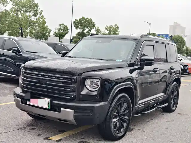 HAVAL  RAPTORS NEW ENERGY 2024