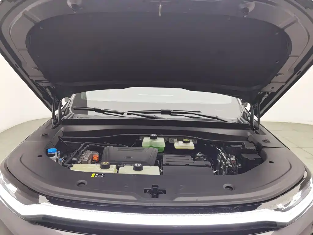 GAC Motor Trumpchi Xiangwang S7 — миниатюра 6