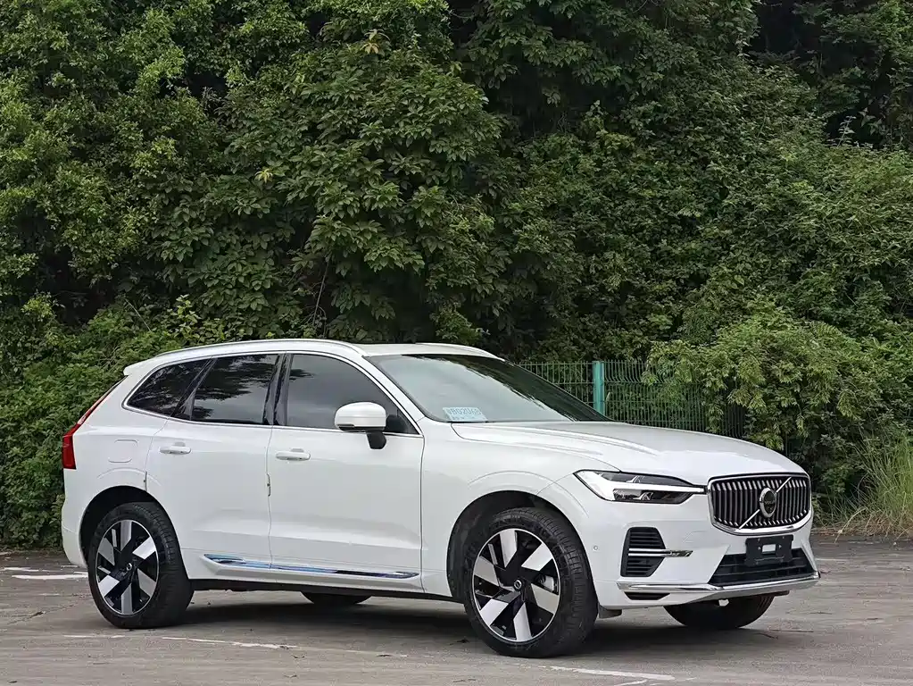 Volvo XC60 2024 T8 Luxury