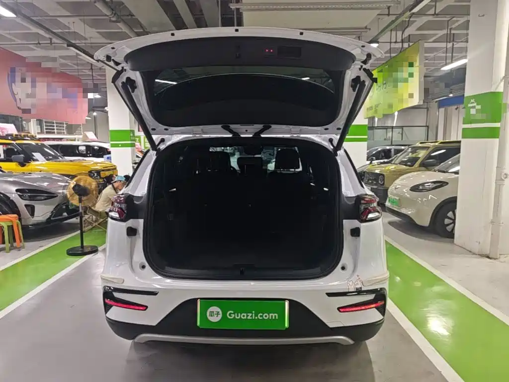 BYD Tang New Energy — миниатюра 19