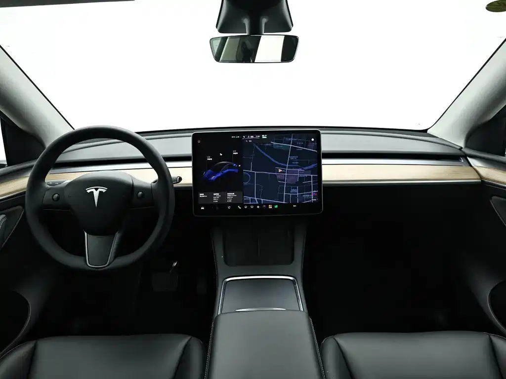 Tesla Model Y — миниатюра 15