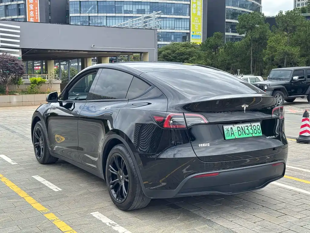Tesla Model Y — фотографии объявления, Фото 23