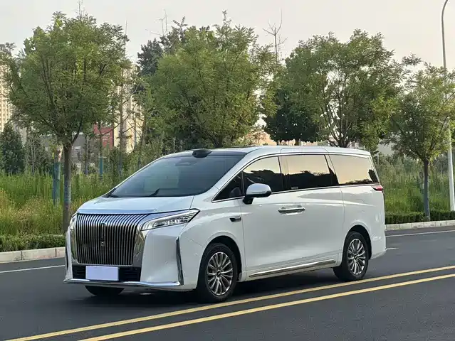 2025 Wey Gaoshan