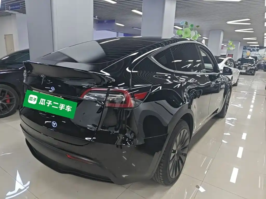 Tesla Model Y — миниатюра 7