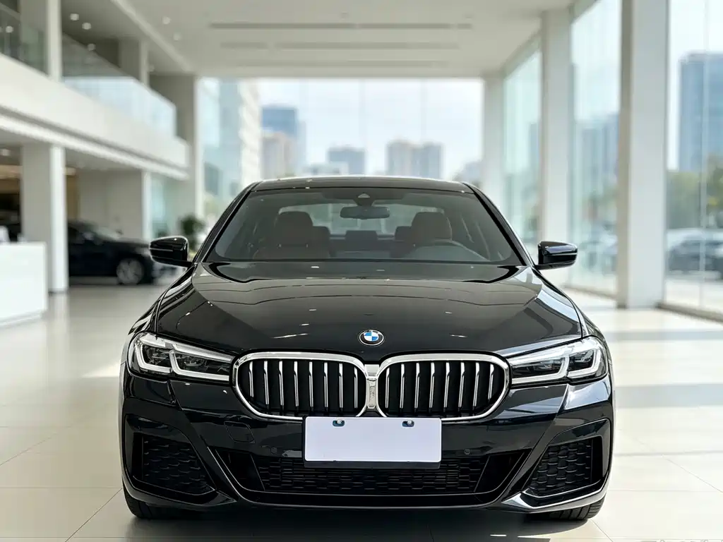 BMW 5 Series — миниатюра 2