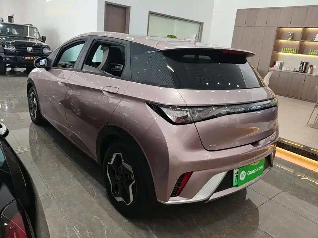 BYD Dolphin — миниатюра 5