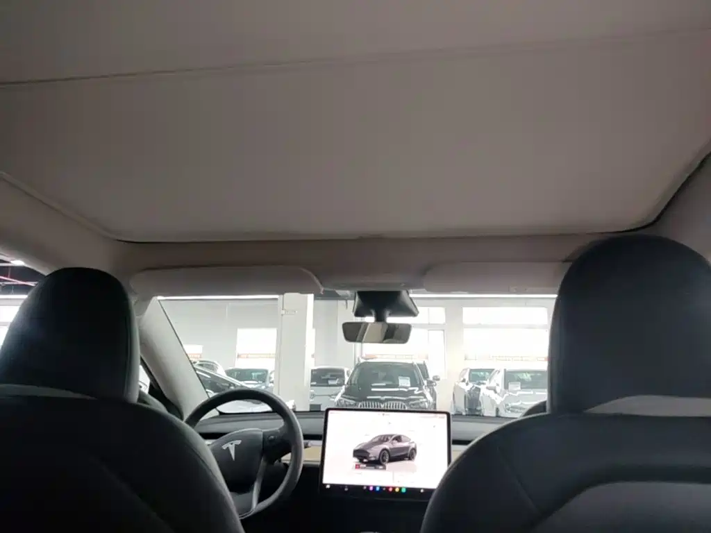 Tesla Model Y — миниатюра 18