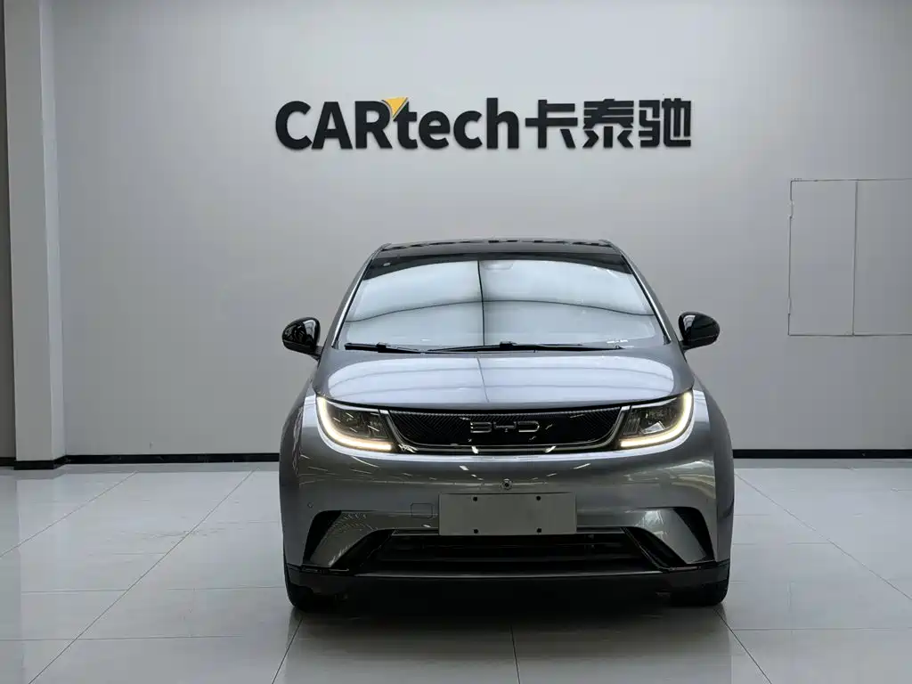 BYD Dolphin — миниатюра 2