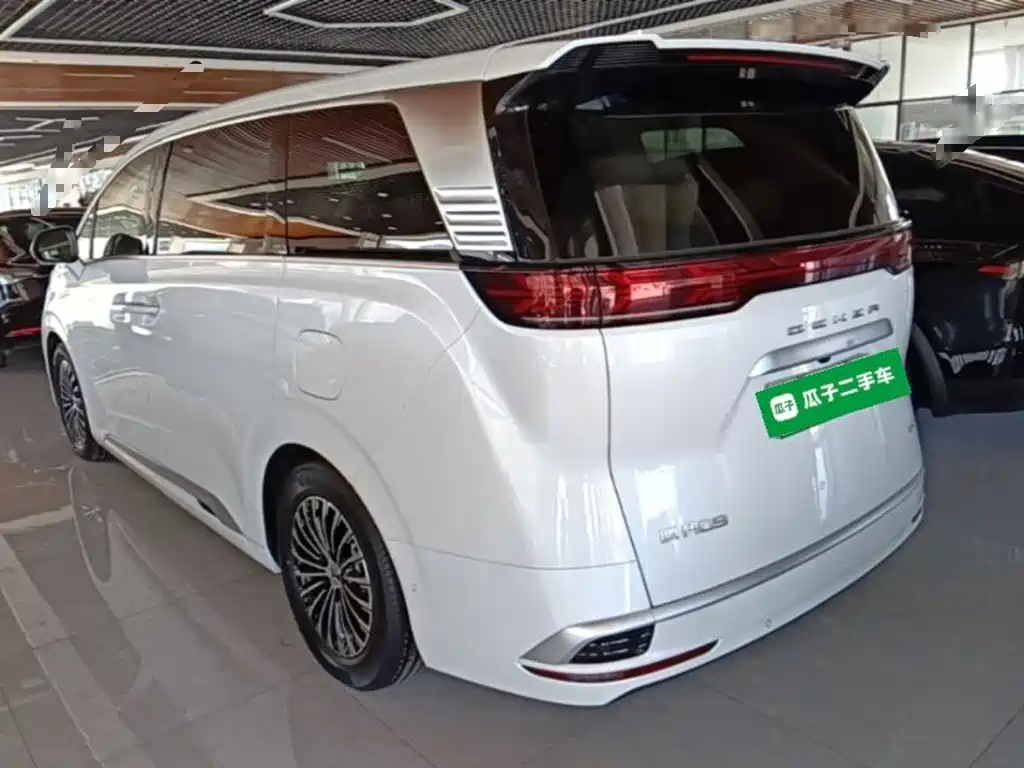 Denza Denza D9 — миниатюра 5