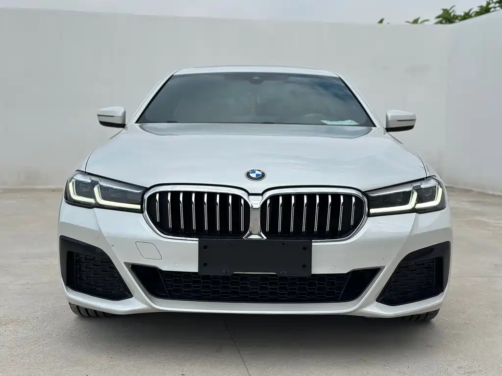BMW 5 Series — миниатюра 2