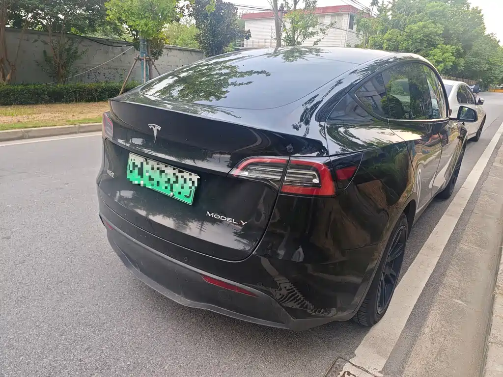 Tesla Model Y — миниатюра 4