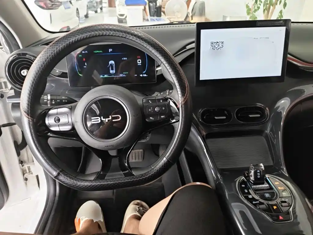 BYD e2 — миниатюра 10