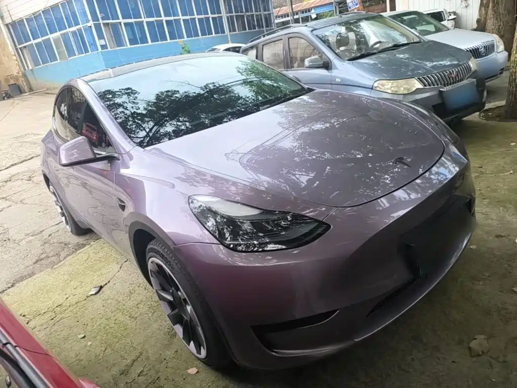 Tesla Model Y — миниатюра 4