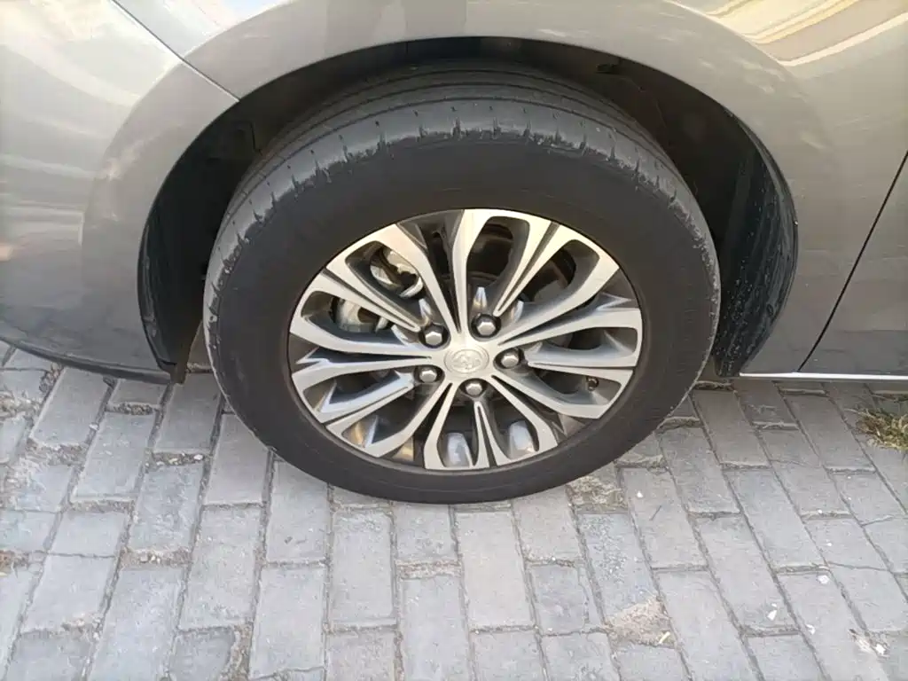 Buick GL8 — миниатюра 23