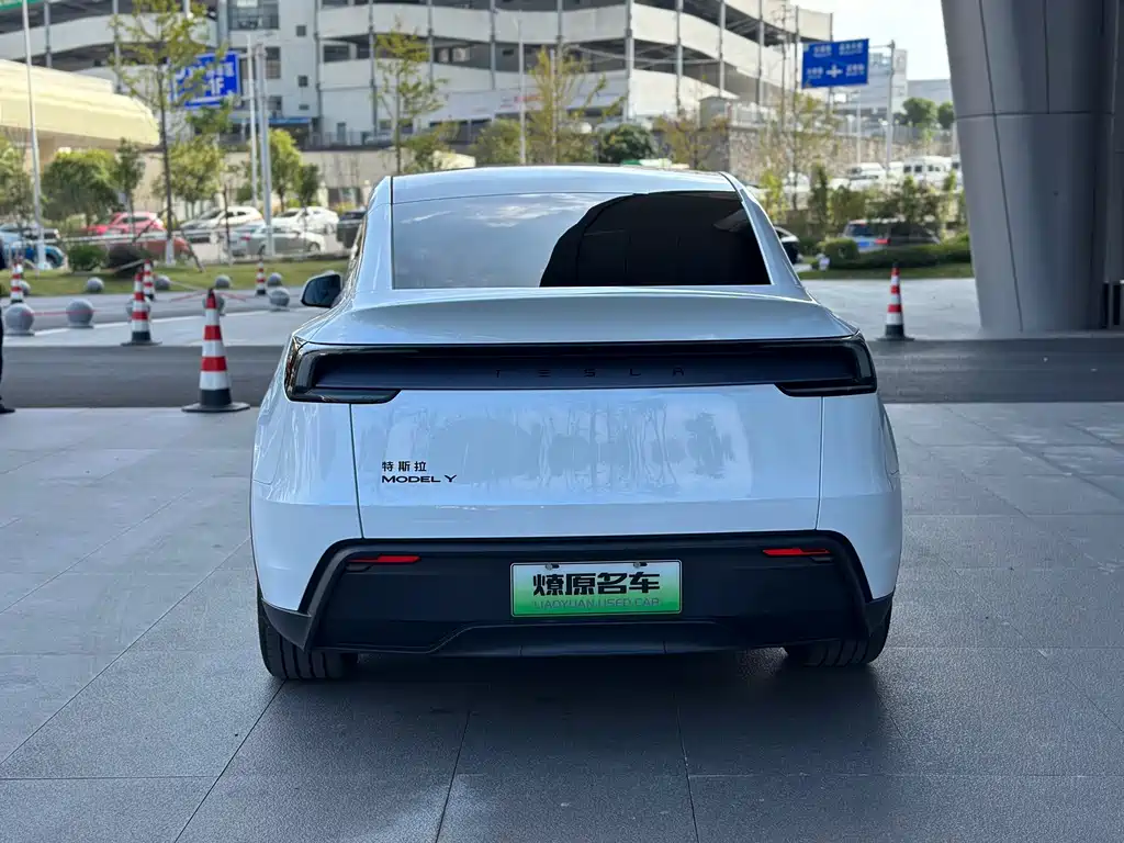 Tesla Model Y — миниатюра 6