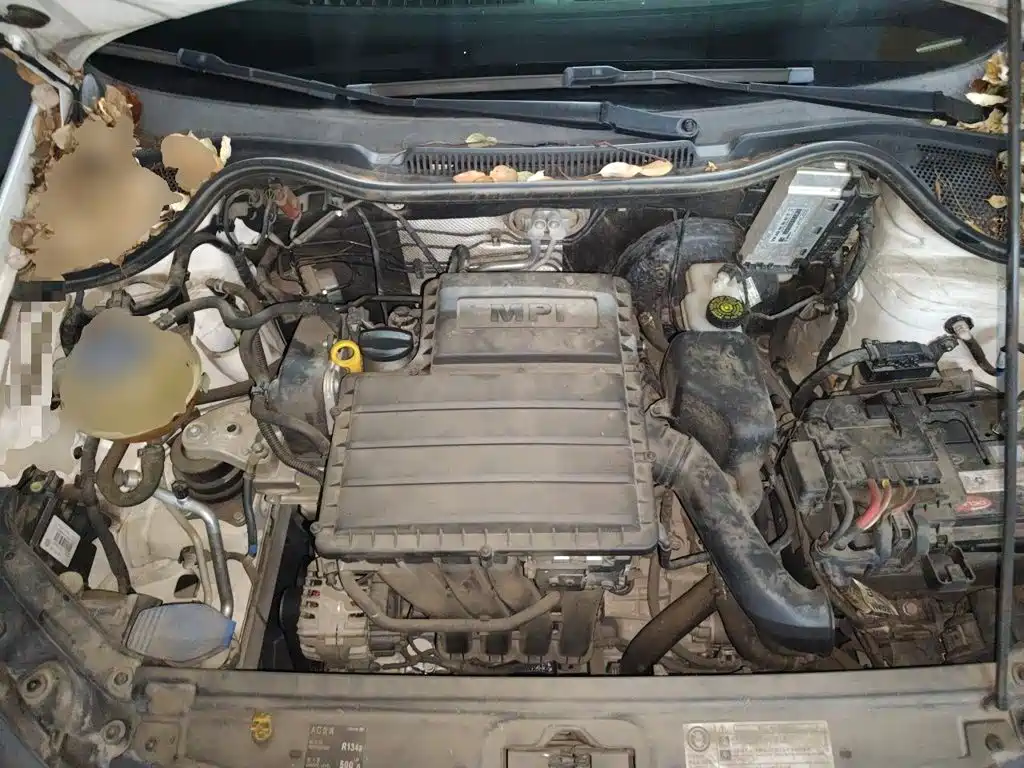 Volkswagen Polo — миниатюра 17