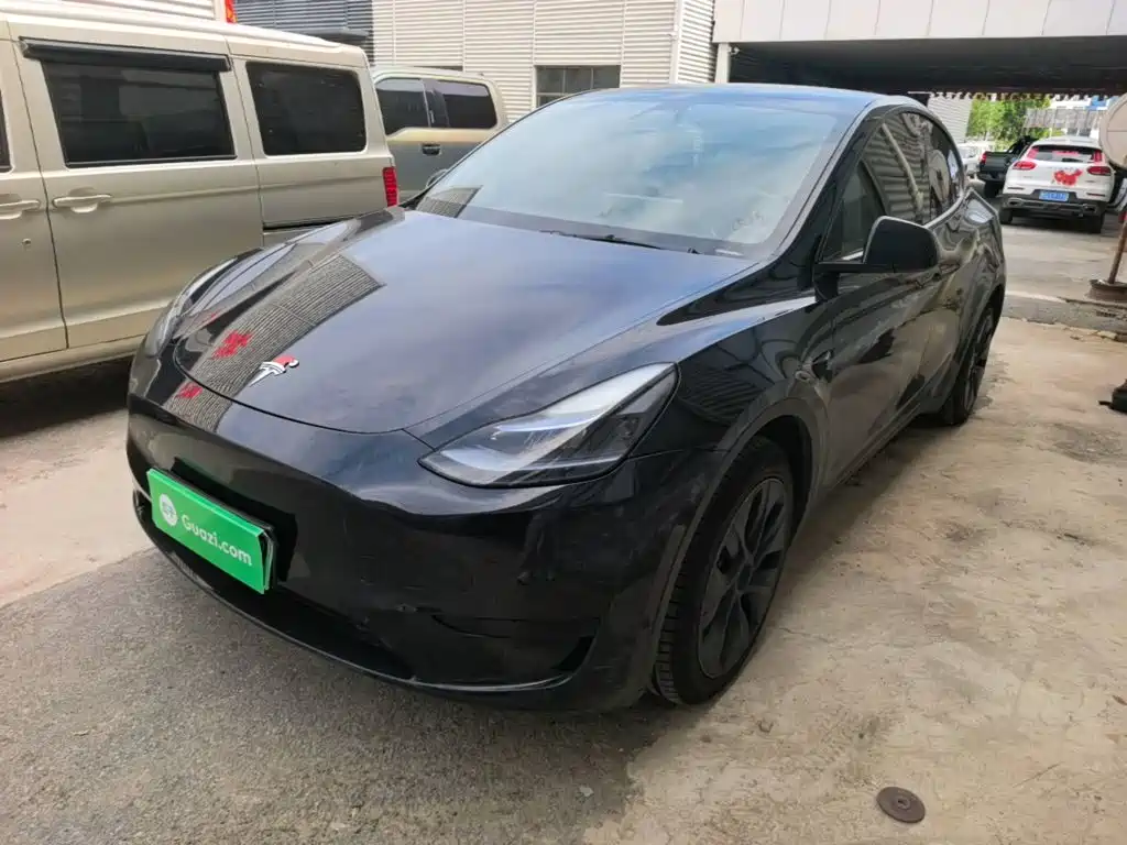 Tesla Model Y — миниатюра 2