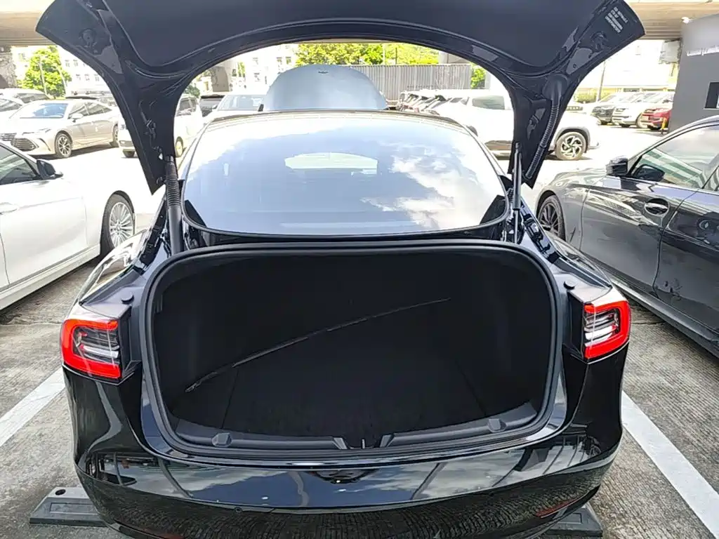 Tesla Model 3 — миниатюра 19