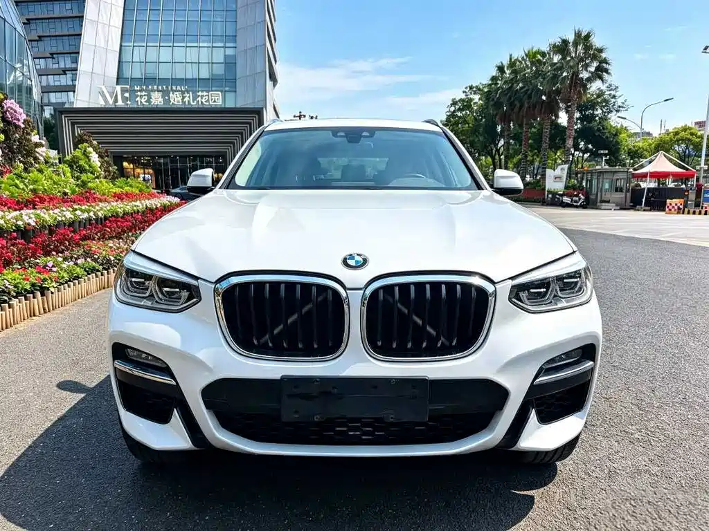 BMW X3 — миниатюра 2