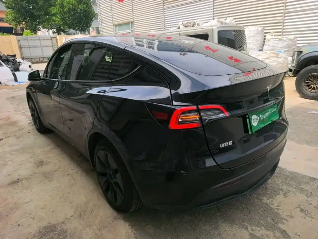 Tesla Model Y — миниатюра 5