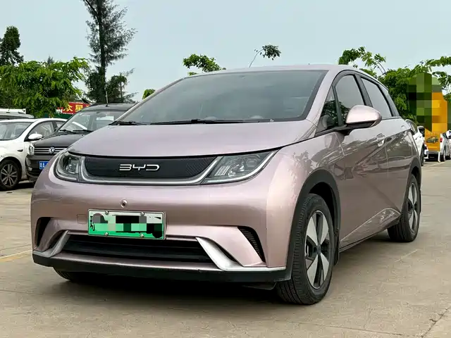 2023 BYD Dolphin