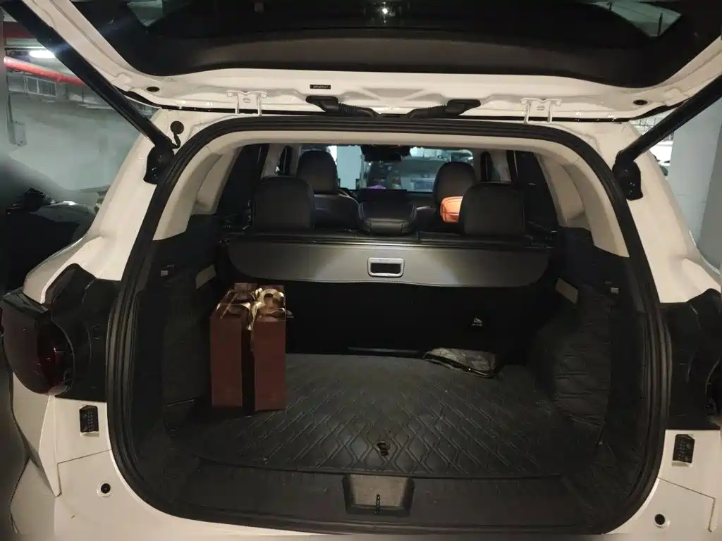Haval Big Dog PLUS New Energy — миниатюра 13