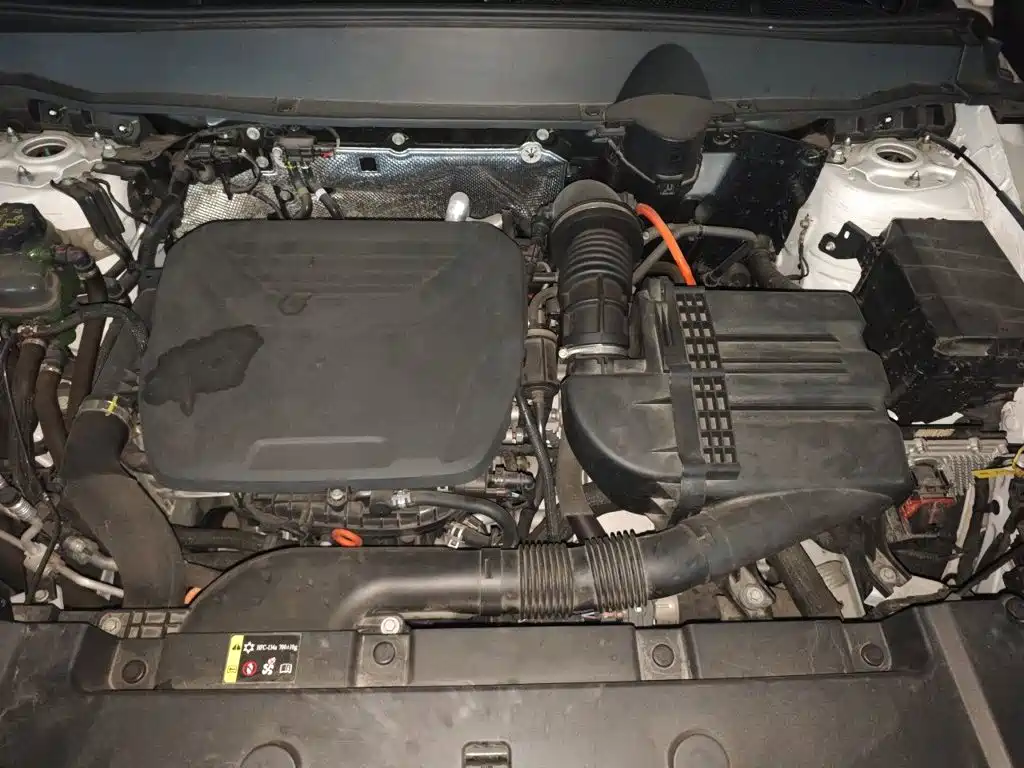 Haval Big Dog PLUS New Energy — миниатюра 14